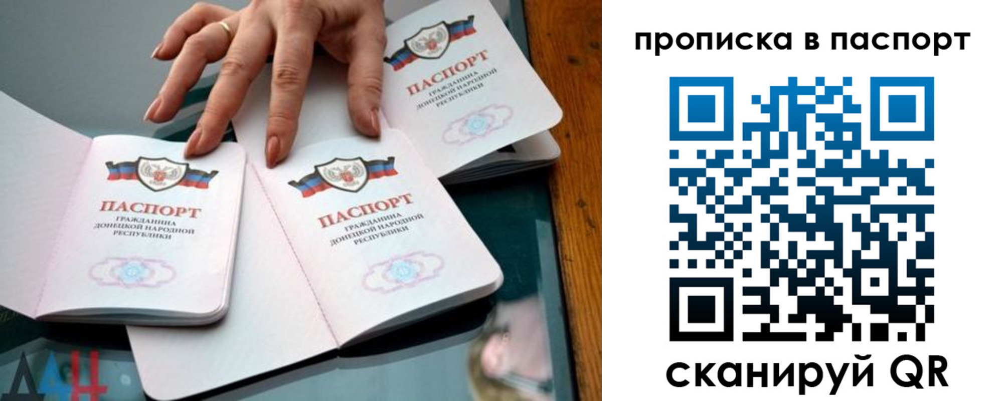 временная регистрация поиск в Ростове-на-Дону